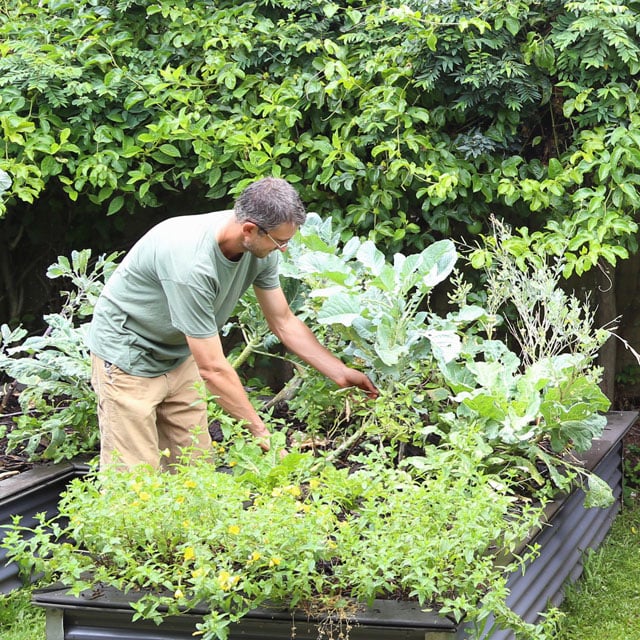 a man working on a raised flower bed