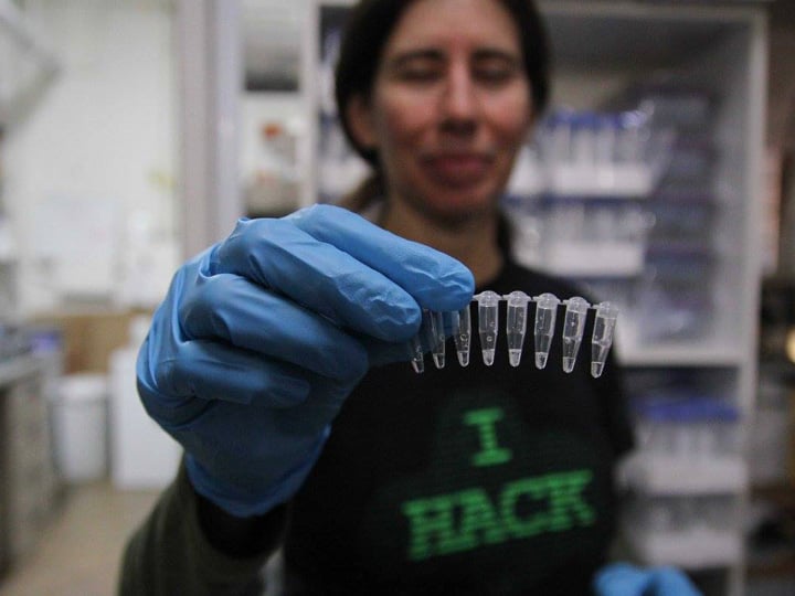 woman holding a row of small electrical components