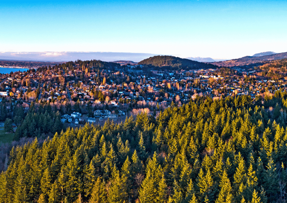 Bellingham Washington landscape