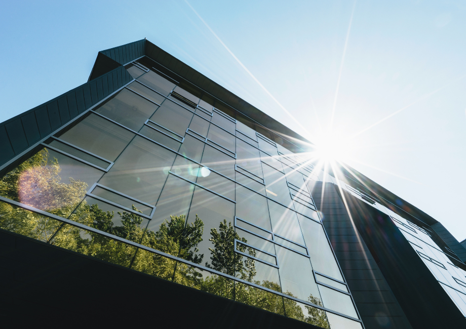 Trees & Sun Reflected on a City Building 