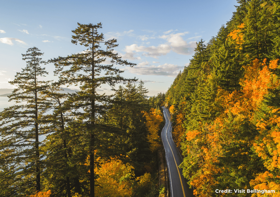 Chuckanut Drive