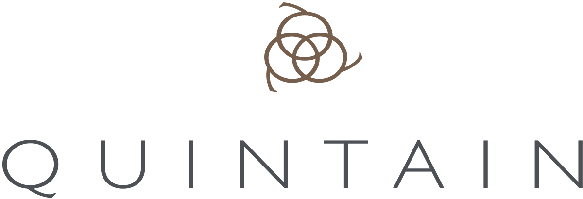 logo_quintain