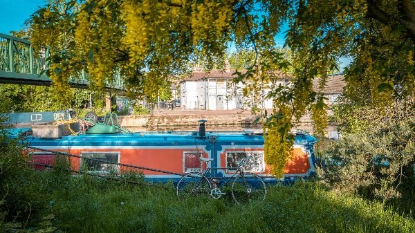 Canal boat surrounded by greenery